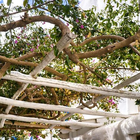 K&K Residence @Mykonos Town Экстерьер фото