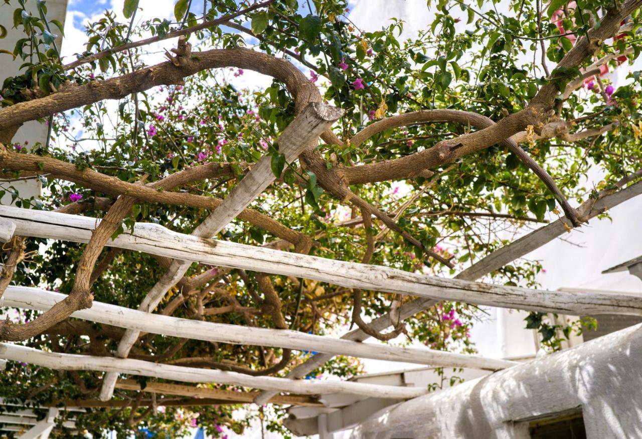 K&K Residence @Mykonos Town Экстерьер фото